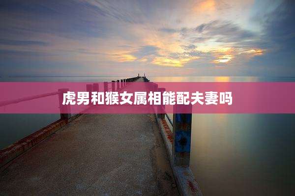 虎男和猴女属相能配夫妻吗