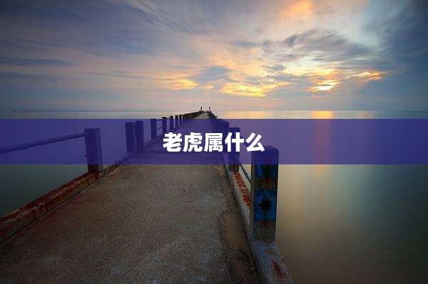 老虎属什么
