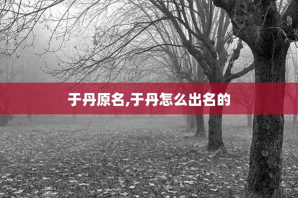 于丹原名,于丹怎么出名的