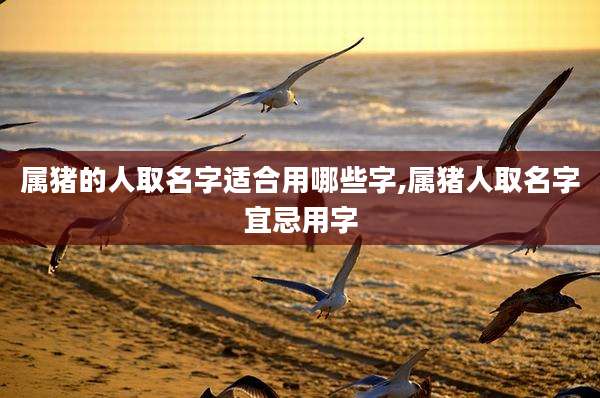 属猪的人取名字适合用哪些字,属猪人取名字宜忌用字