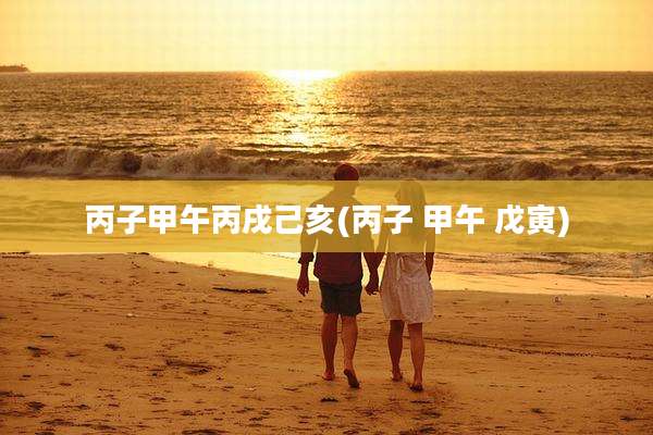 丙子甲午丙戌己亥(丙子 甲午 戊寅)
