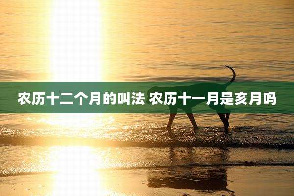 农历十二个月的叫法 农历十一月是亥月吗