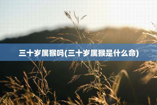 三十岁属猴吗(三十岁属猴是什么命)