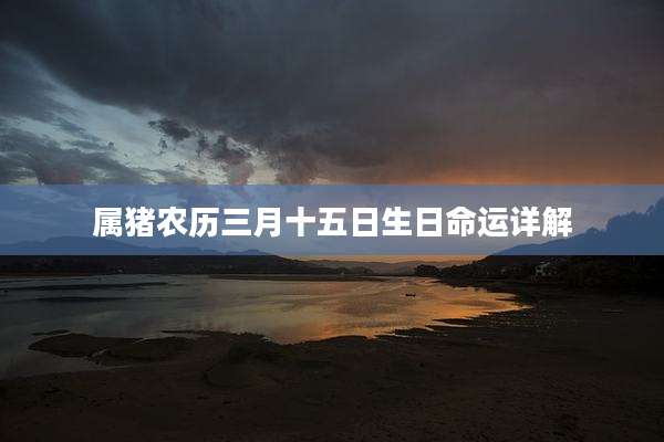属猪农历三月十五日生日命运详解