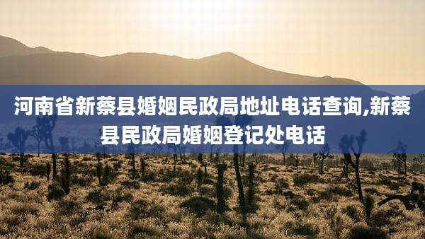 河南省新蔡县婚姻民政局地址电话查询,新蔡县民政局婚姻登记处电话