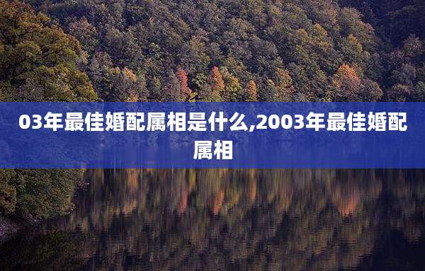 03年最佳婚配属相是什么,2003年最佳婚配属相
