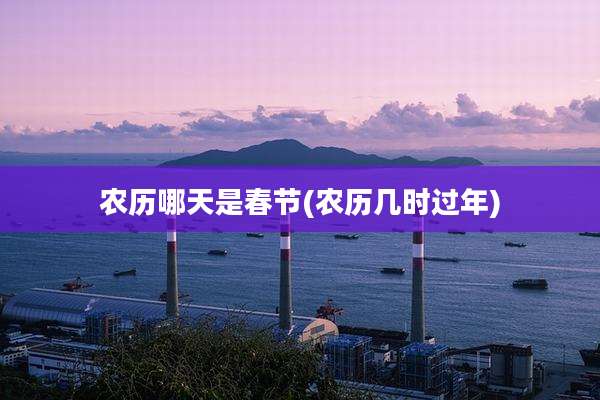 农历哪天是春节(农历几时过年)