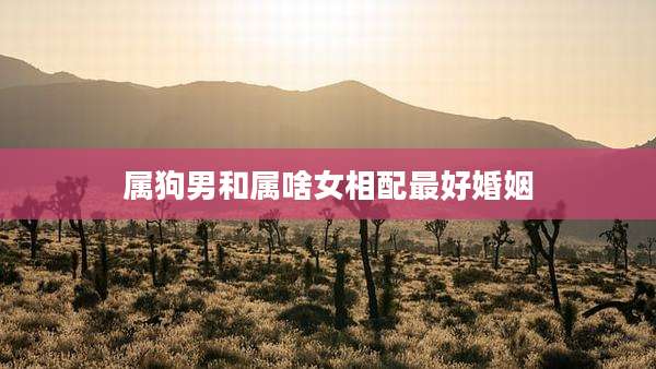 属狗男和属啥女相配最好婚姻