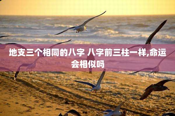 地支三个相同的八字 八字前三柱一样,命运会相似吗