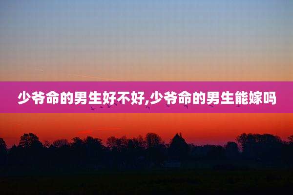 少爷命的男生好不好,少爷命的男生能嫁吗