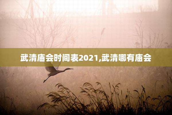 武清庙会时间表2021,武清哪有庙会