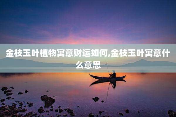 金枝玉叶植物寓意财运如何,金枝玉叶寓意什么意思