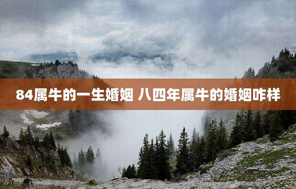 84属牛的一生婚姻 八四年属牛的婚姻咋样