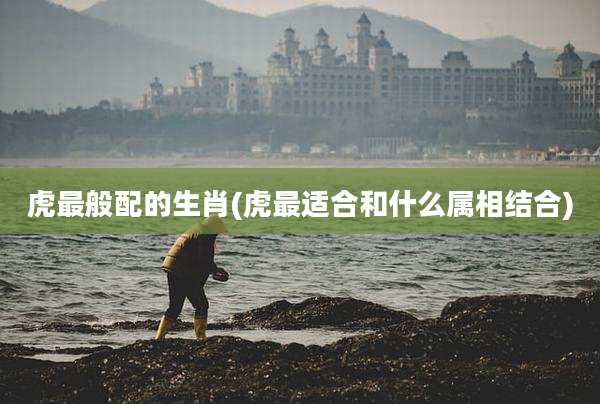 虎最般配的生肖(虎最适合和什么属相结合)
