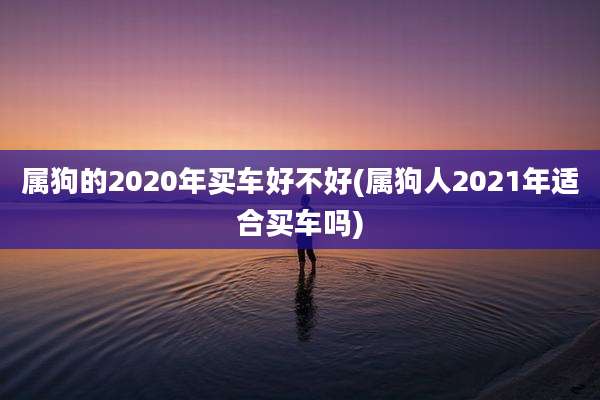 属狗的2020年买车好不好(属狗人2021年适合买车吗)