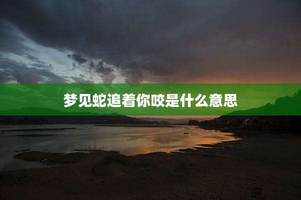 梦见蛇追着你咬是什么意思