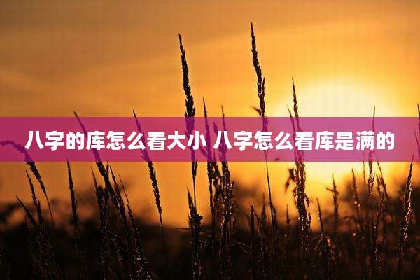 八字的库怎么看大小 八字怎么看库是满的