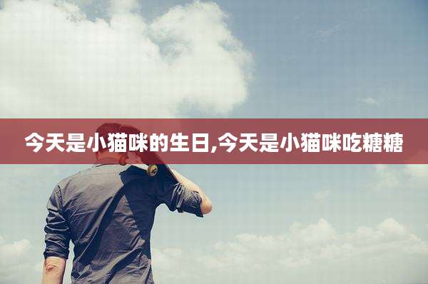 今天是小猫咪的生日,今天是小猫咪吃糖糖