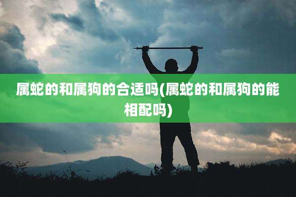 属蛇的和属狗的合适吗(属蛇的和属狗的能相配吗)