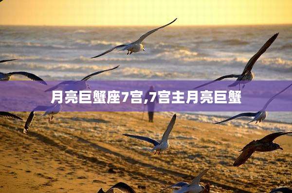 月亮巨蟹座7宫,7宫主月亮巨蟹