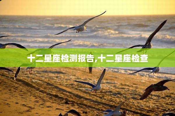 十二星座检测报告,十二星座检查