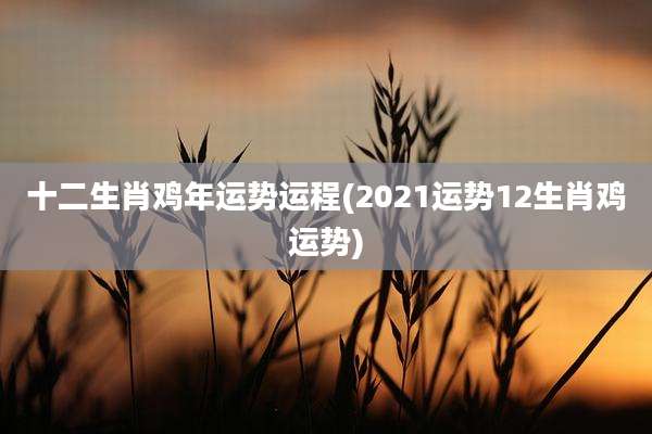 十二生肖鸡年运势运程(2021运势12生肖鸡运势)