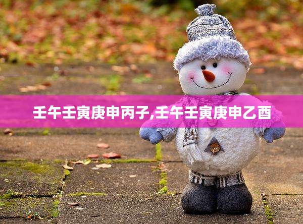 壬午壬寅庚申丙子,壬午壬寅庚申乙酉