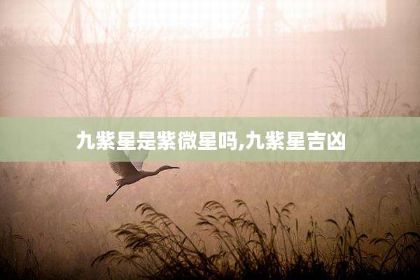 九紫星是紫微星吗,九紫星吉凶