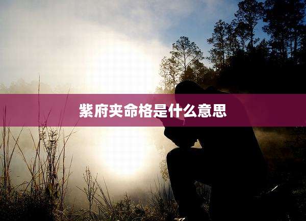 紫府夹命格是什么意思
