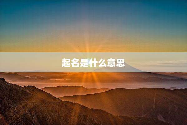 起名是什么意思