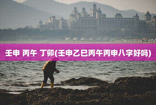 壬申 丙午 丁卯(壬申乙巳丙午丙申八字好吗)