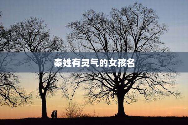 秦姓有灵气的女孩名