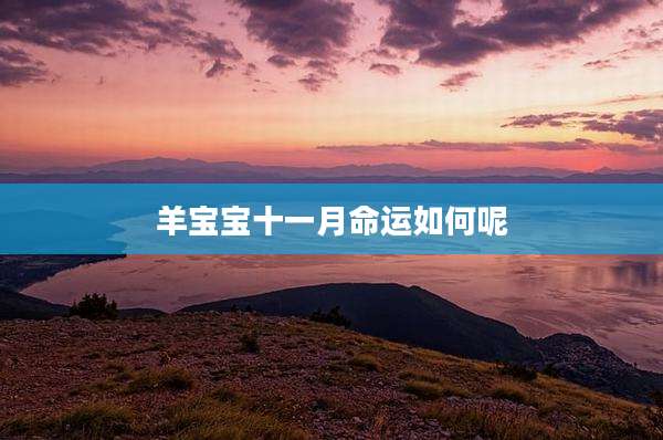 羊宝宝十一月命运如何呢