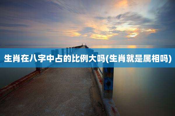 生肖在八字中占的比例大吗(生肖就是属相吗)