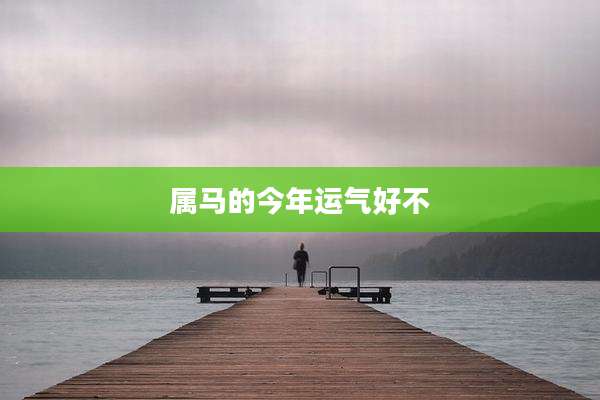 属马的今年运气好不