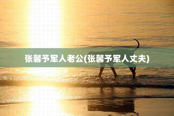 张馨予军人老公(张馨予军人丈夫)