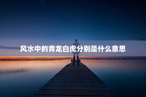 风水中的青龙白虎分别是什么意思