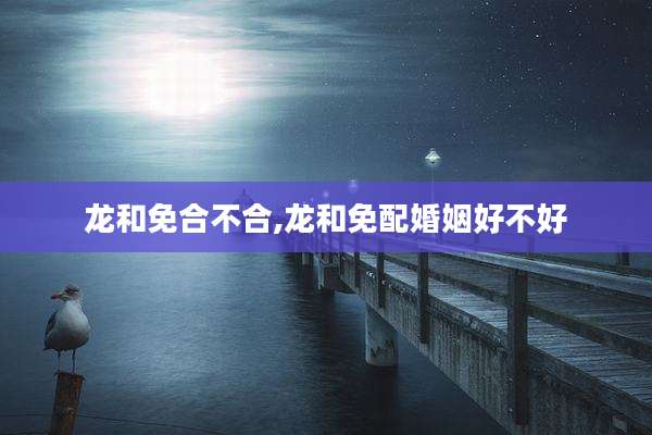 龙和免合不合,龙和免配婚姻好不好