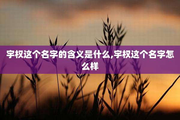 宇权这个名字的含义是什么,宇权这个名字怎么样