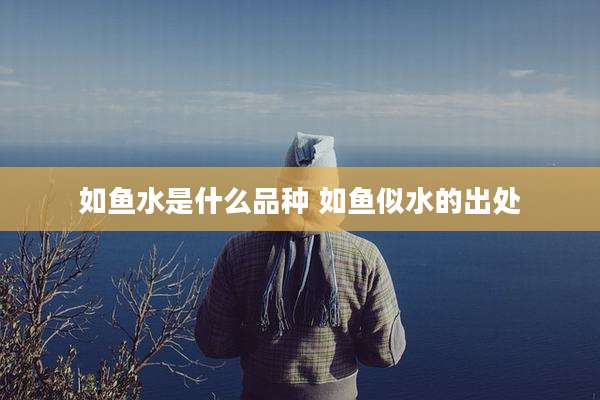 如鱼水是什么品种 如鱼似水的出处