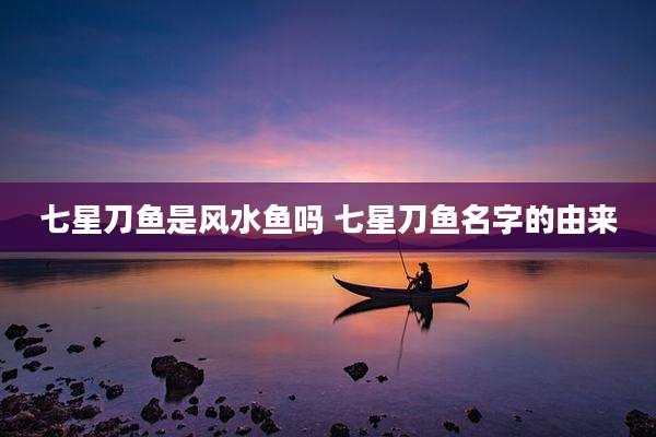 七星刀鱼是风水鱼吗 七星刀鱼名字的由来