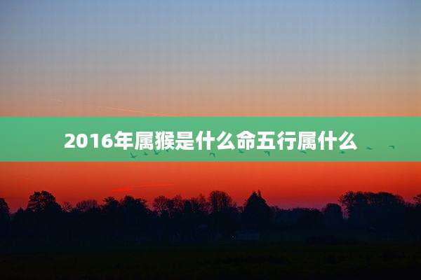 2016年属猴是什么命五行属什么