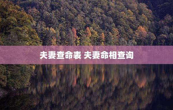 夫妻查命表 夫妻命相查询