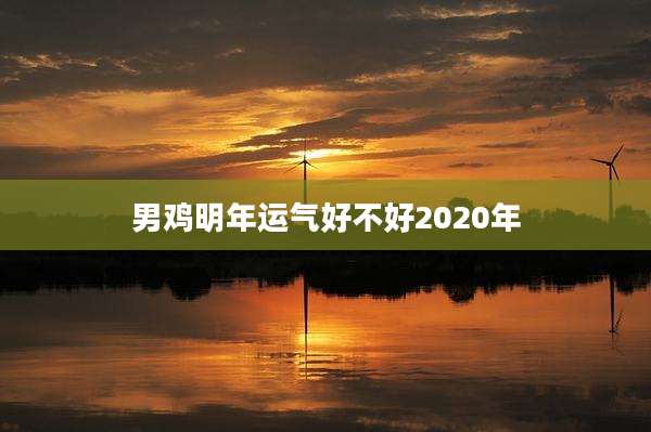 男鸡明年运气好不好2020年