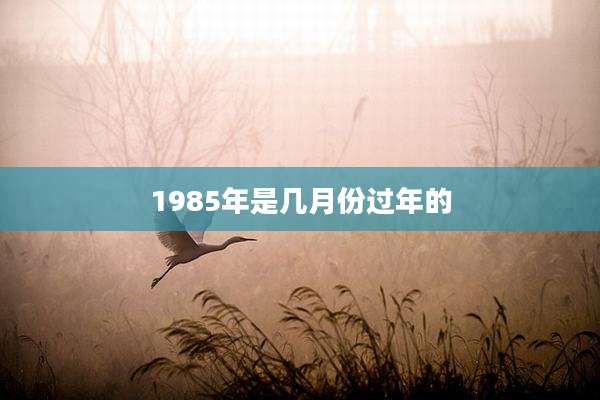 1985年是几月份过年的