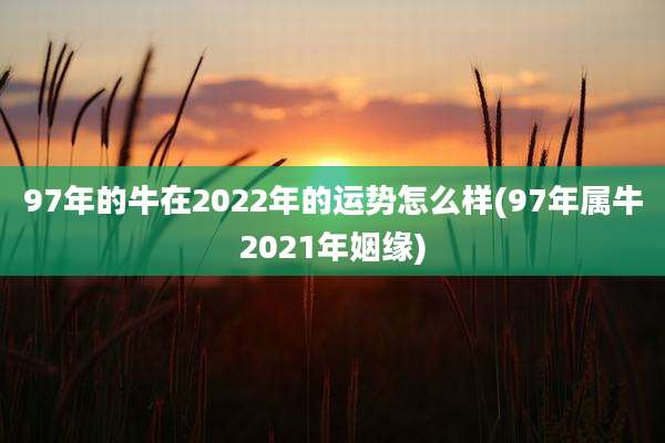 97年的牛在2022年的运势怎么样(97年属牛2021年姻缘)