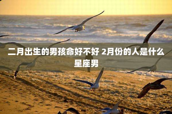 二月出生的男孩命好不好 2月份的人是什么星座男