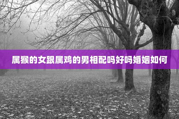 属猴的女跟属鸡的男相配吗好吗婚姻如何