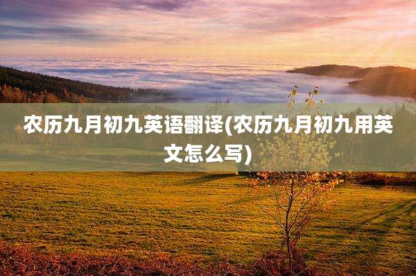 农历九月初九英语翻译(农历九月初九用英文怎么写)