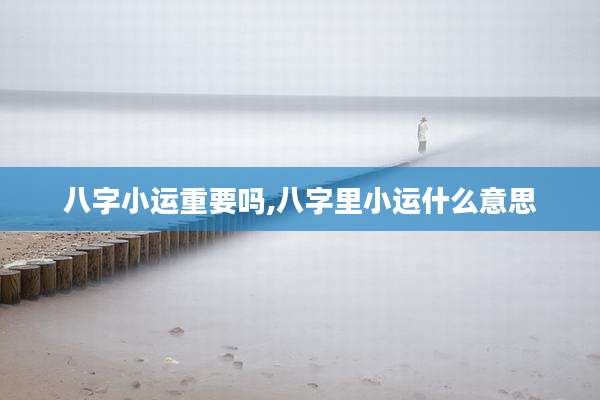 八字小运重要吗,八字里小运什么意思